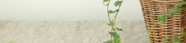 eastermonday's header image