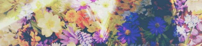 内海あさ's header image