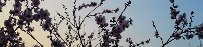UNUNa's header image