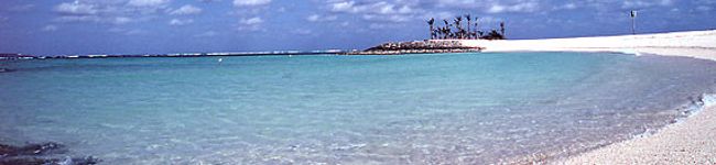 pasuta's header image