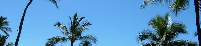 のぽのぽ's header image