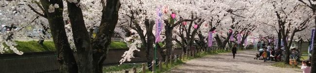 ちびひめまま's header image