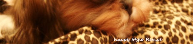 mammaのYOU's header image
