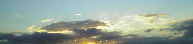 サワー's header image