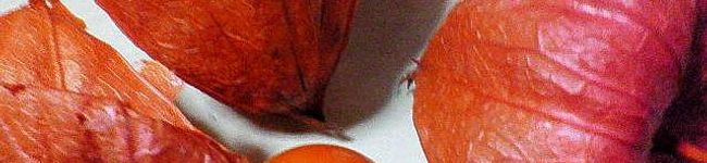 yummy♡'s header image