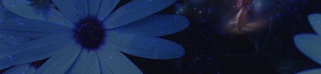 恵kissme's header image