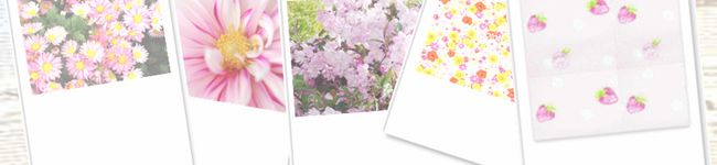 まろみぃ's header image