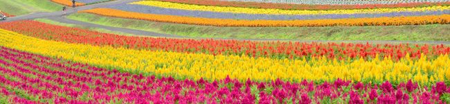 ujastyle's header image