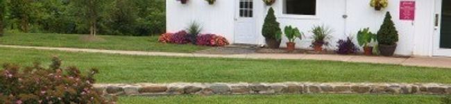 same39's header image
