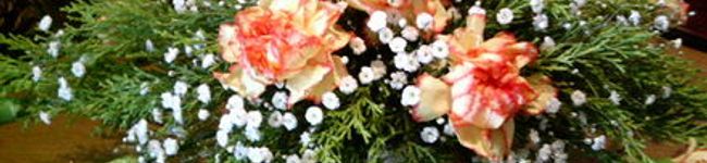 のあまんま's header image