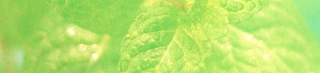 natural18's header image
