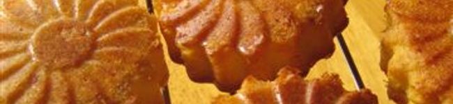 maya123's header image