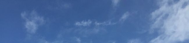 lololula's header image