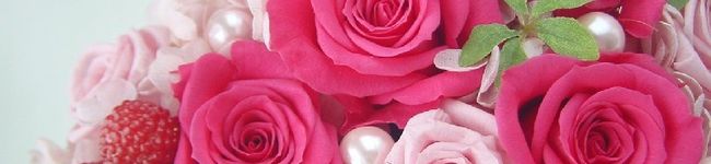 L～Angel's header image