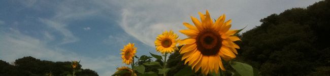 rumija's header image