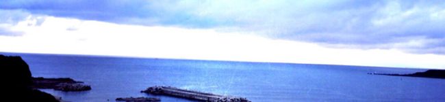 youcori's header image