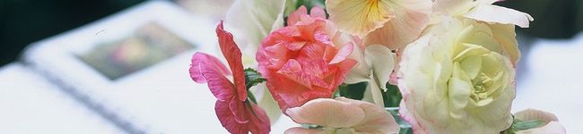 yukakobe's header image