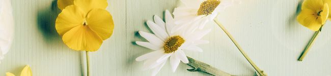 nrkc's header image