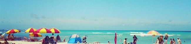 nuii's header image