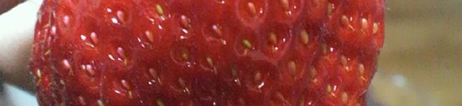 muanna's header image