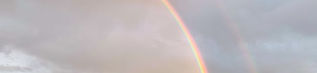 Phatomi's header image