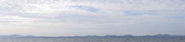 ninamoe's header image