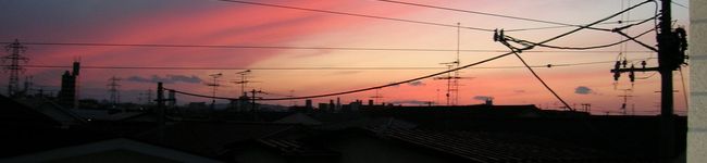 くまぐっち's header image