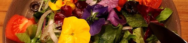 アイリ－ン's header image
