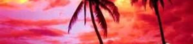 ｱｯﾁｷ's header image