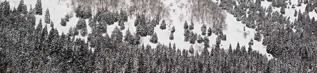 小雪☆'s header image