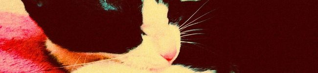 peeske's header image
