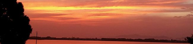 182♀'s header image