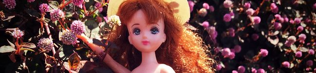 sachiaqua's header image