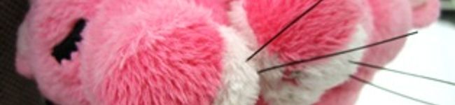 ＭＩＵ's header image