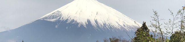 けめどん's header image
