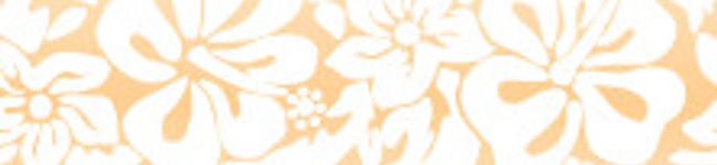 NinnyMiddy's header image