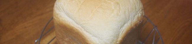 growingup1's header image