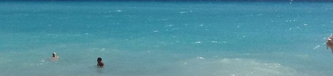 TaigaSmile's header image