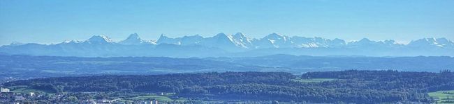 mussachan's header image