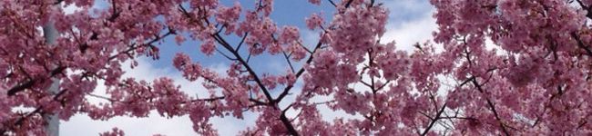 na♡tsu's header image
