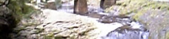 pakkun's header image