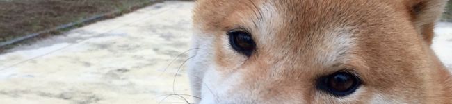 キムの部屋's header image