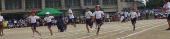 sakkystar's header image