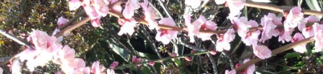 gudon's header image