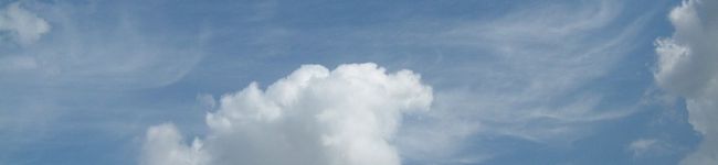 美味しいキッチン's header image