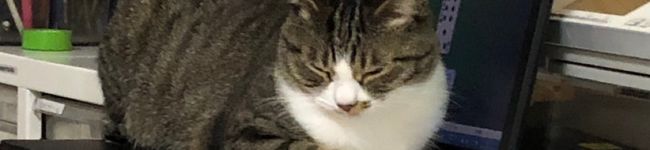 ayahrchu's header image