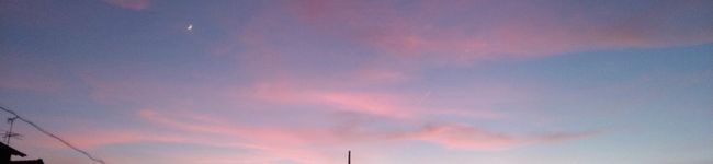 sayori-pon's header image