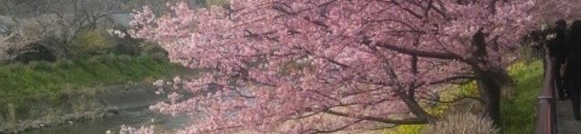凛音3185's header image