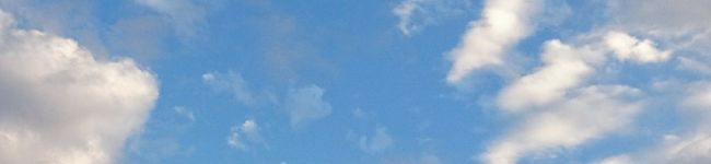 sozai's header image