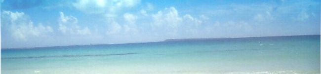 CESIA's header image